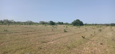 Terrain agricole de un hec et 1000m nu sidi said