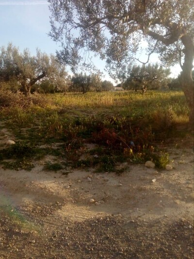 bassbasia hamammet sud terrain de 2000m