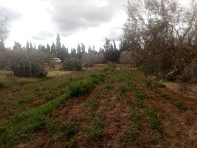 5000m a 3amra c’est la compagne de nabeul a 10 min de centre