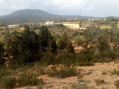 grand terrain a hammamet pour un projet agricole de 24 hectares