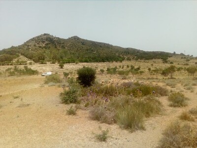 au niveaux de bouficha prés de l’autouroute de sousse