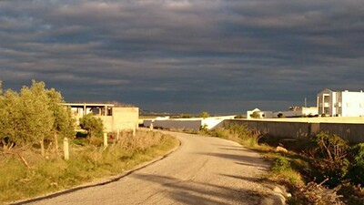 terrain à la compagne de hammamet sud dans un endroit calme