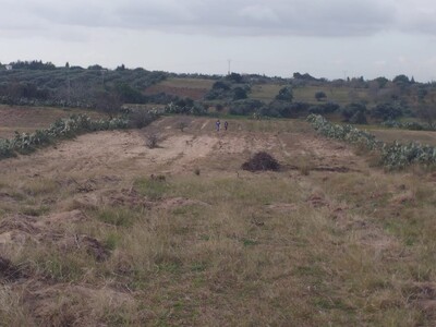 terrain de 4000 mètres carrés