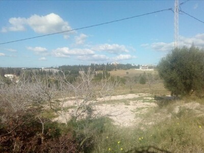 terrain de 7000m à hammamet