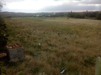 Terrain a 10 min de hammamet 1000m