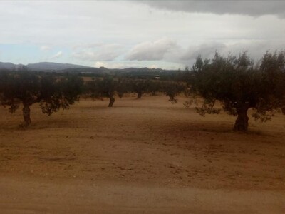 3 hectares a 10 min de hammamet