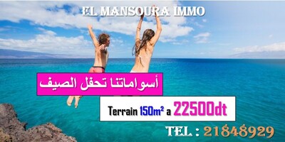 le meilleur choix pour un terrain