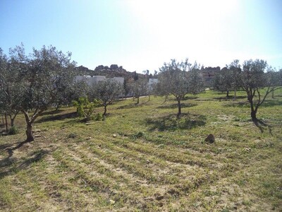 terrain 1030m² à el Monchar hammamet