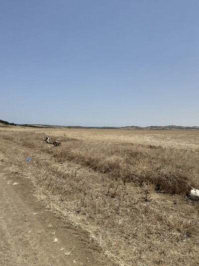Terrain 9600m a hammamet