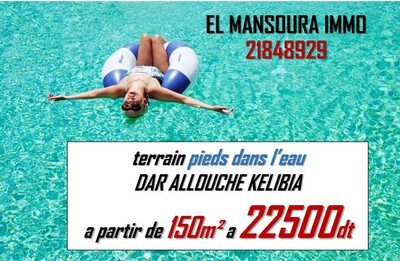 occasion de vente terrain pieds dans l'eau
