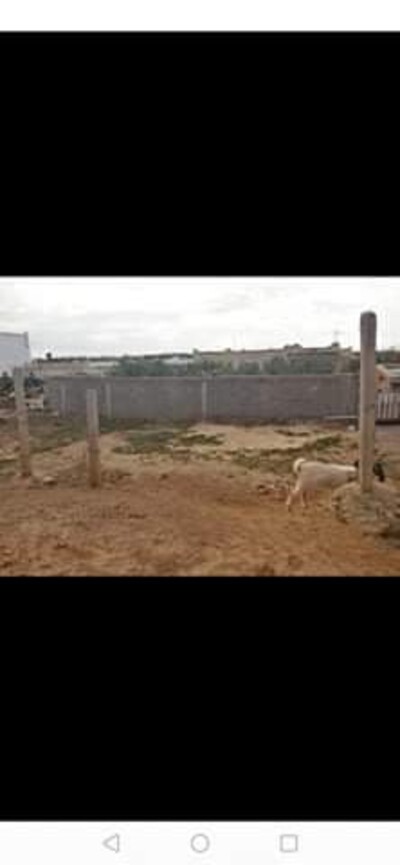 150m a monchar Hammamet sud