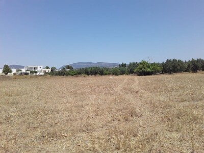 Un terrain de 620 m a menchar