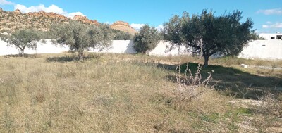 terrain de 1000m a sidi jdidi