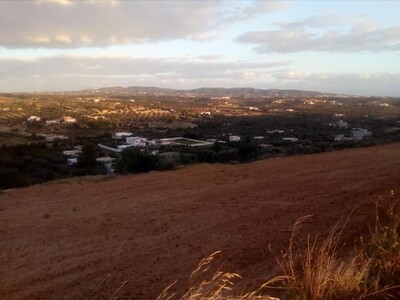 terrain de 2000m² a oued lasswed