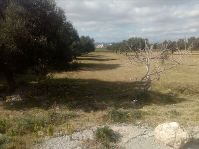 terrain commercial 200m