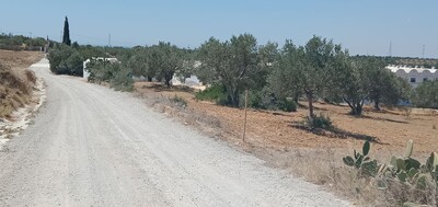 Terrain bassbasya 315m