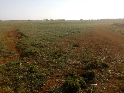 Des lots de terrain a 5 min de Yassmin Hamamet