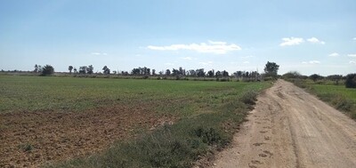 terrain agricole un hec et 6000m