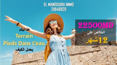 vente terrain pieds dans l'eau