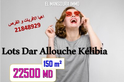 offre de vente des lots face a la mer