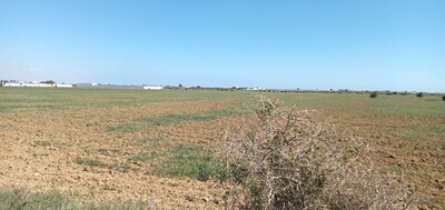 5600m terrain agricole