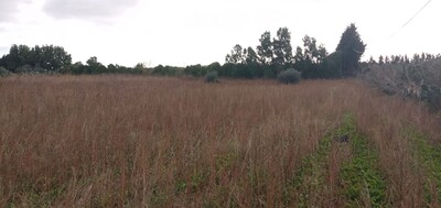 terrain de 13500 mètres