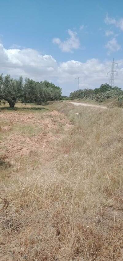 terrain agricole de 20000 mètres