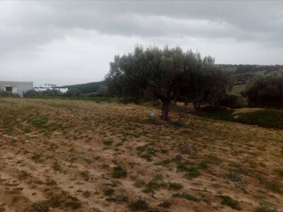 un terrain agricole de 5 hectares