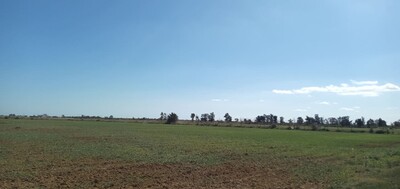 5600mètres terrain agricole