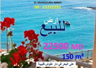un bon terrain front mer
