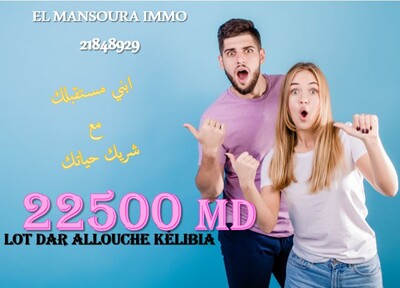 des lots de terrain a dar allouche kélibia