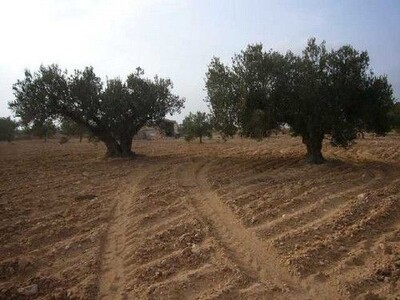 Terrain environ de 13 266 m