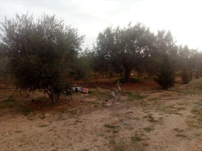 A vendre 1000m² a 3 min de hammamet sud