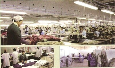 Are looking for buyer or Business Partner / textile field