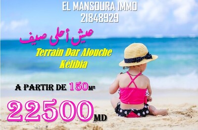 des lots forsa a plage dar allouche kélibia