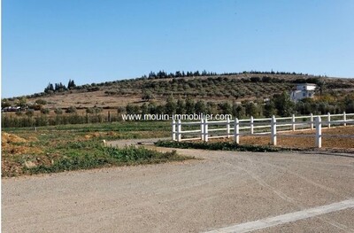 La Ferme Du Chevalier av à Sidi Thabeut