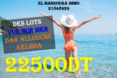 affaire de terrain vue sur mer