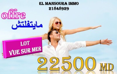 occasion de vente des lots face a la mer