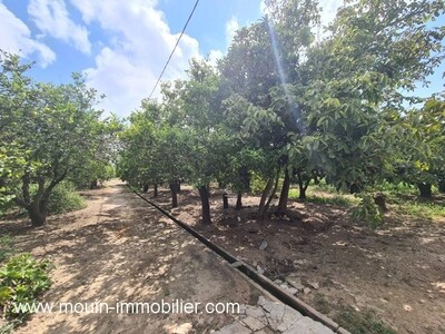 TERRAIN RENZO Hammamet  Zone Craxi