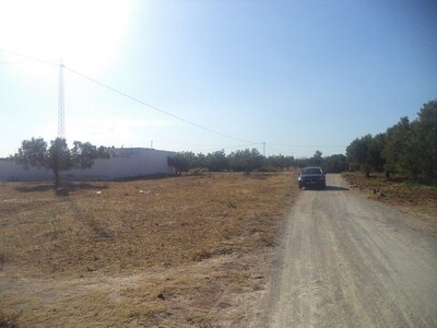 terrain de 800m² à hammamet sud