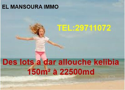 terrain a dar allouche