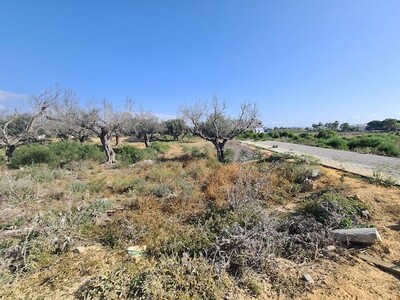 TERRAIN NOURAN Les Deux Oueds Hammamet Nord