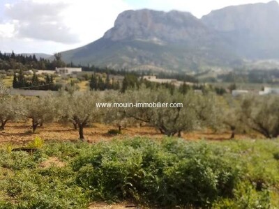 FERME LA COLOMBE AB Morneg