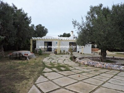 Villa Citrus X av à Hammamet