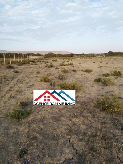 Terrain agricole de 4 hectares a el haouaria cap bon
