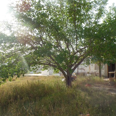 Bon plan  Hammamet superbe terrain maison studio 1000 bord d