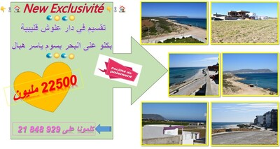 Vous propose pour amoureux de la nature ce magnifique LOT VUE MER
