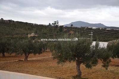TERRAIN JIHEN EA Birbouregba