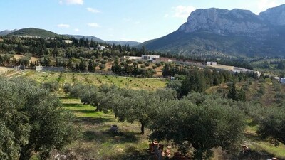 Ferme La Colombe T III av à Morneg