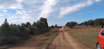 4000m a vendre karoub